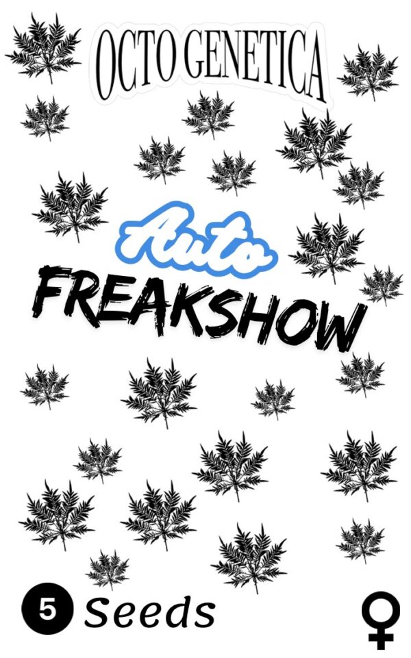 Freakshow Auto – Image 2