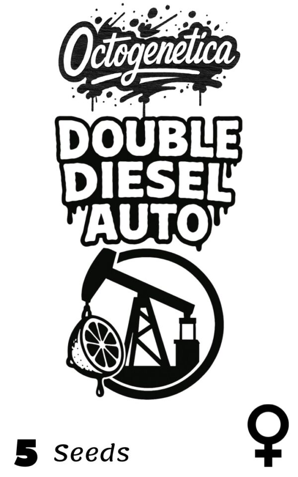 DOUBLE DIESEL AUTO