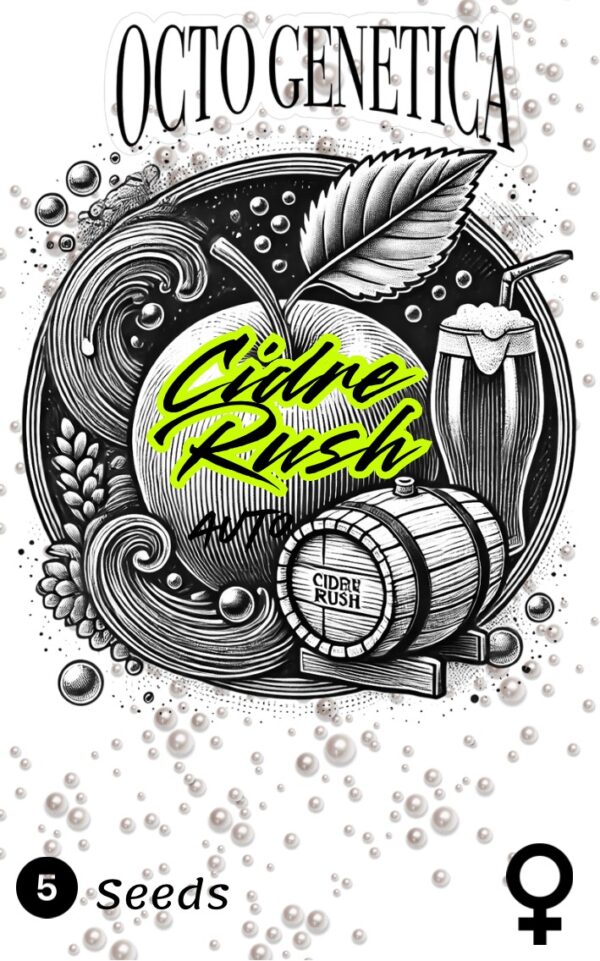 🍾  Cidre Rush Auto