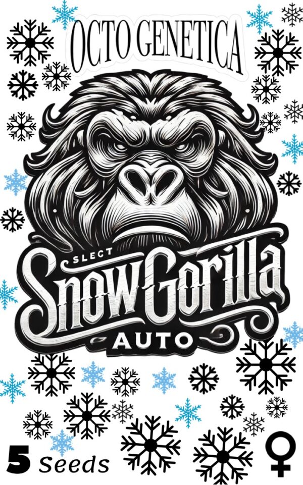 Snow Gorilla Auto